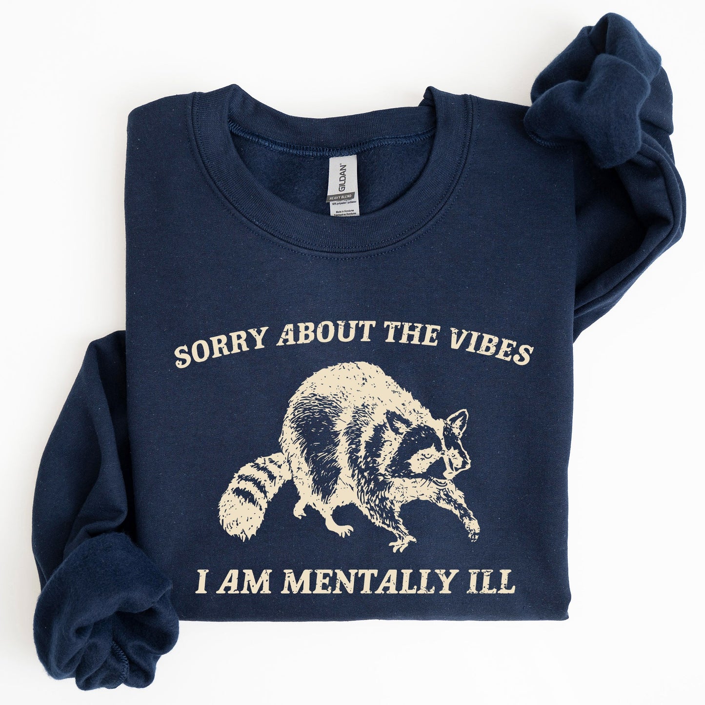 Sorry About The Vibes, Mentally Ill, Raccoon, Meme, Aesthetic, Funny Sweatshirt