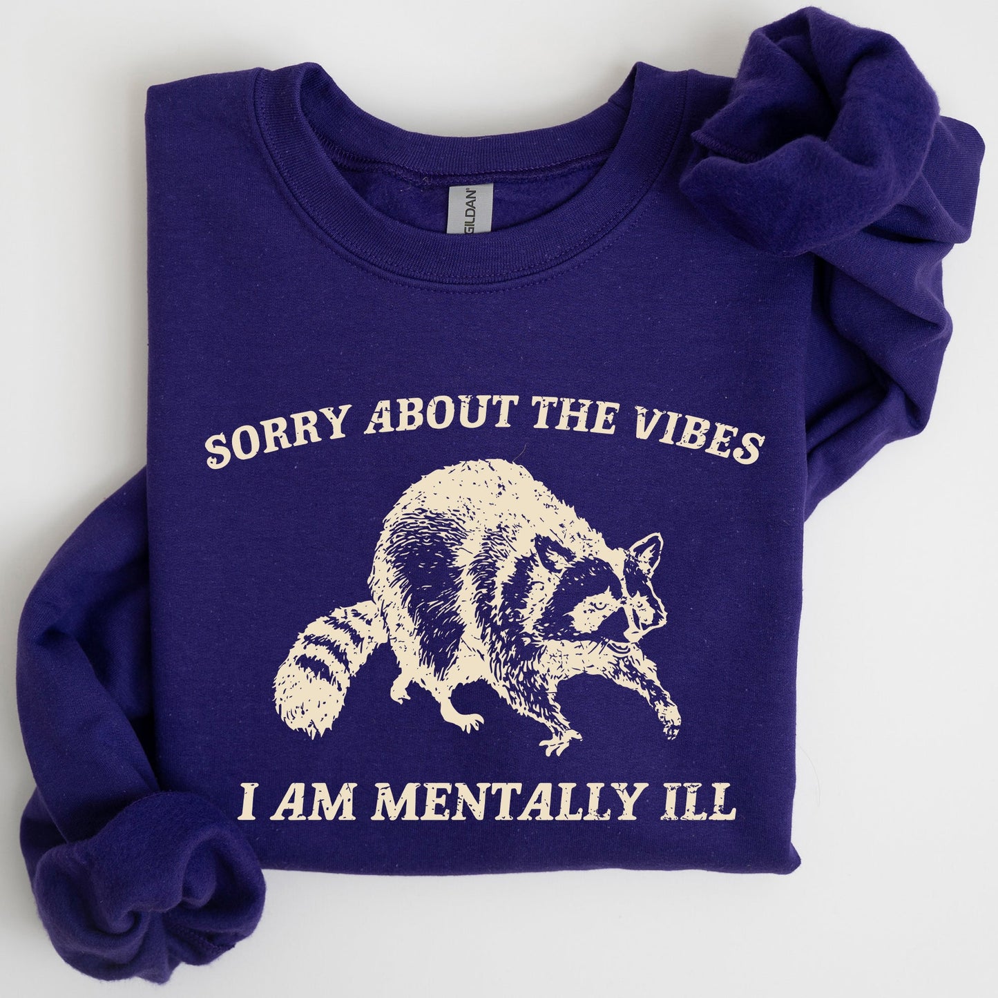 Sorry About The Vibes, Mentally Ill, Raccoon, Meme, Aesthetic, Funny Sweatshirt