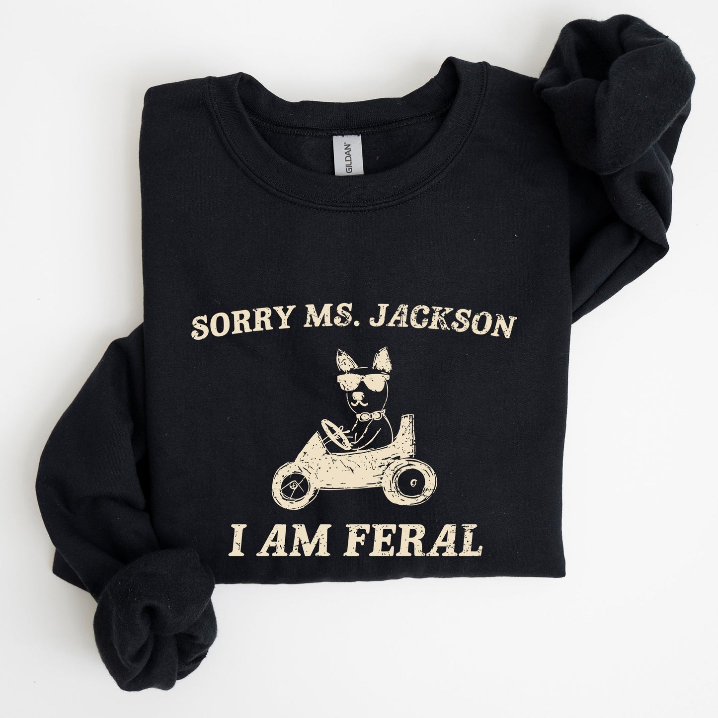 Sorry Ms, Raccoon, Meme, Aesthetic, Funny Sweatshirt