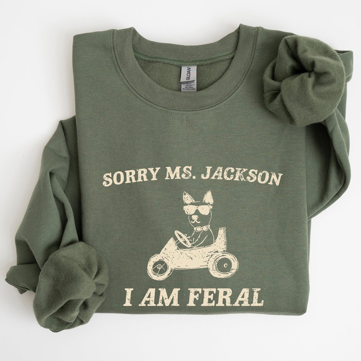 Sorry Ms, Raccoon, Meme, Aesthetic, Funny Sweatshirt
