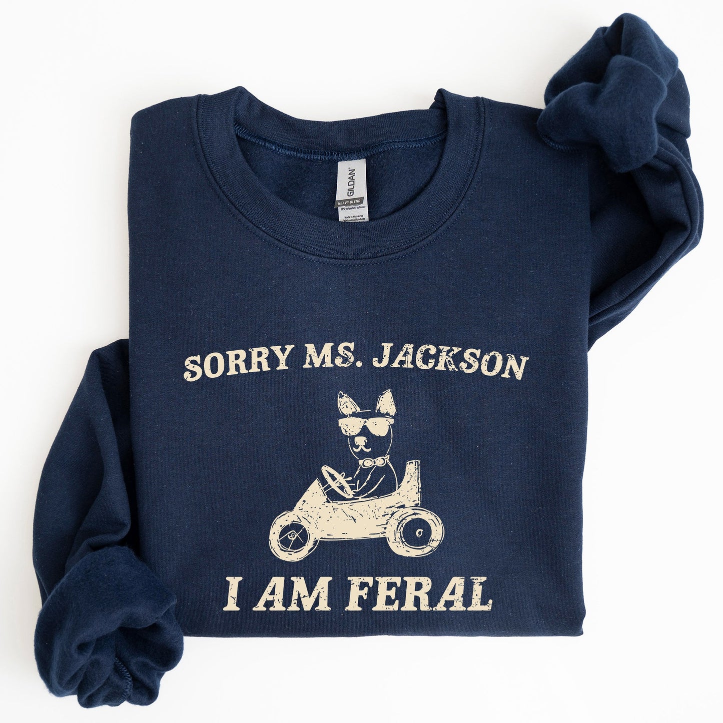 Sorry Ms, Raccoon, Meme, Aesthetic, Funny Sweatshirt