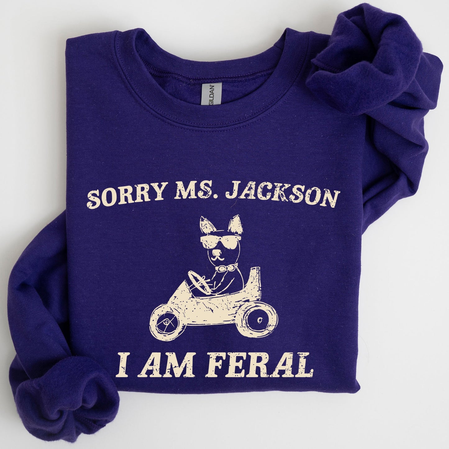Sorry Ms, Raccoon, Meme, Aesthetic, Funny Sweatshirt