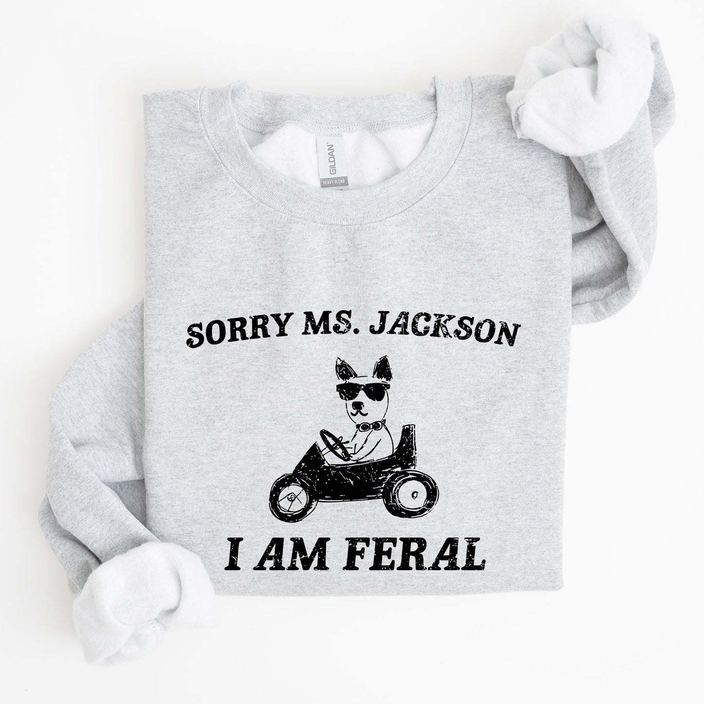 Sorry Ms, Raccoon, Meme, Aesthetic, Funny Sweatshirt