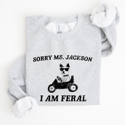 Sorry Ms, Raccoon, Meme, Aesthetic, Funny Sweatshirt