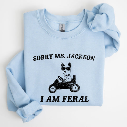 Sorry Ms, Raccoon, Meme, Aesthetic, Funny Sweatshirt