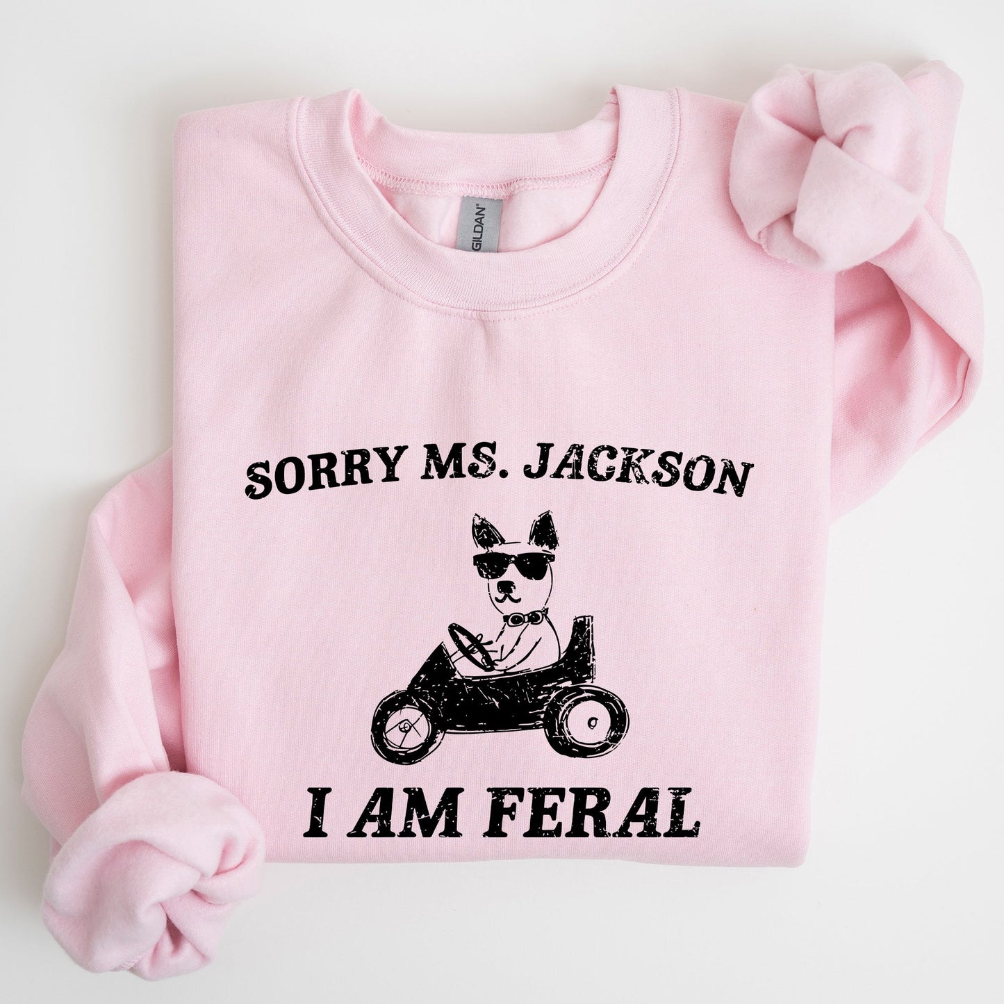 Sorry Ms, Raccoon, Meme, Aesthetic, Funny Sweatshirt