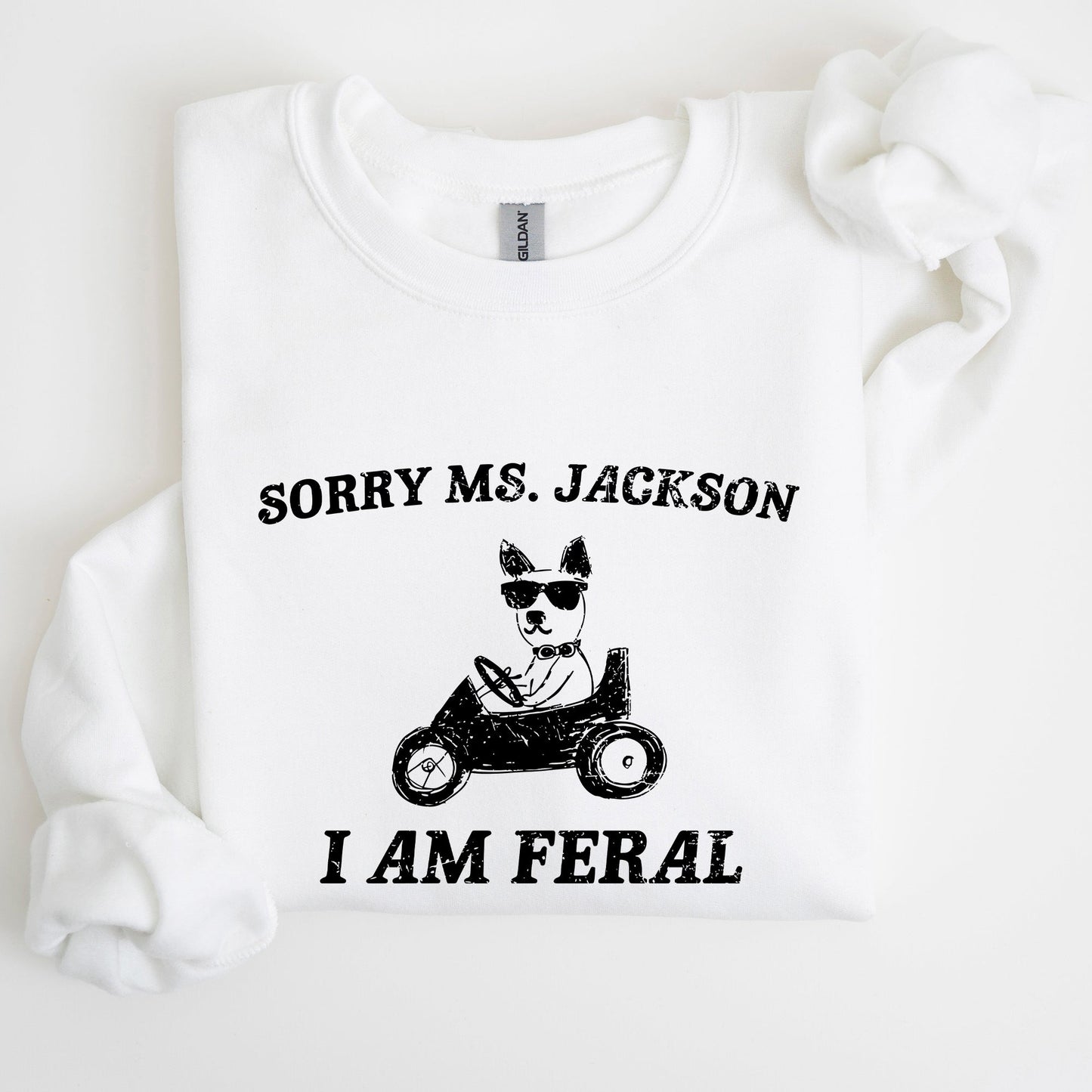 Sorry Ms, Raccoon, Meme, Aesthetic, Funny Sweatshirt
