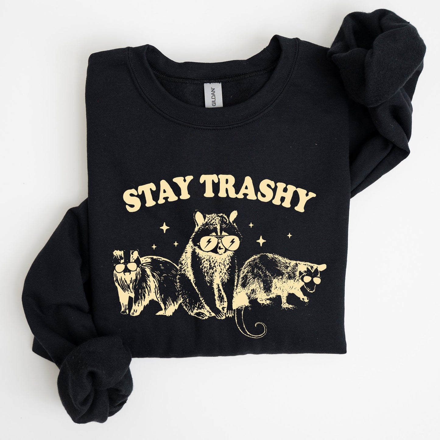 Stay Trashy, Racoon, Possum, Aesthetic, Meme, Funny Sweatshirt