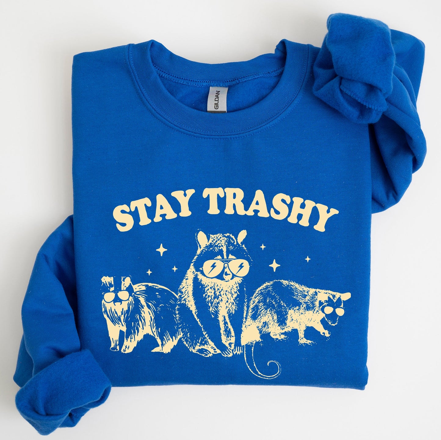Stay Trashy, Racoon, Possum, Aesthetic, Meme, Funny Sweatshirt