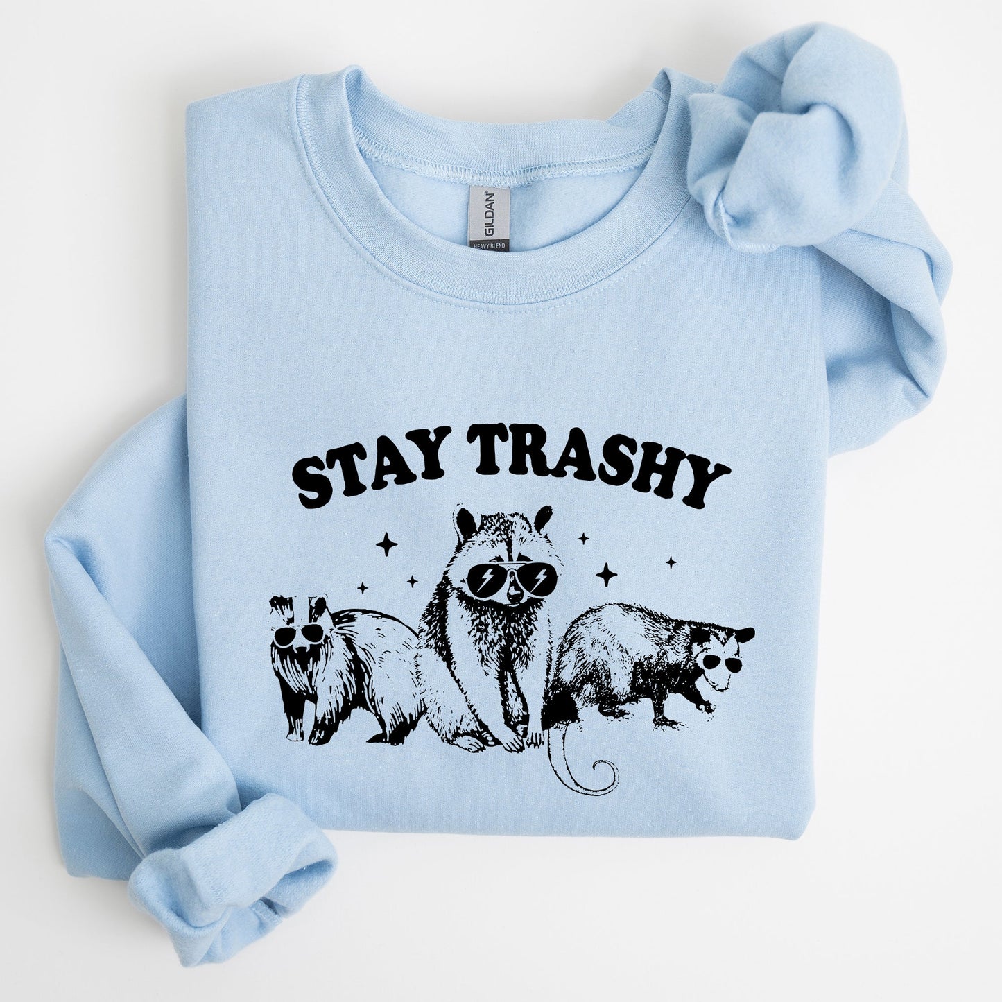 Stay Trashy, Racoon, Possum, Aesthetic, Meme, Funny Sweatshirt