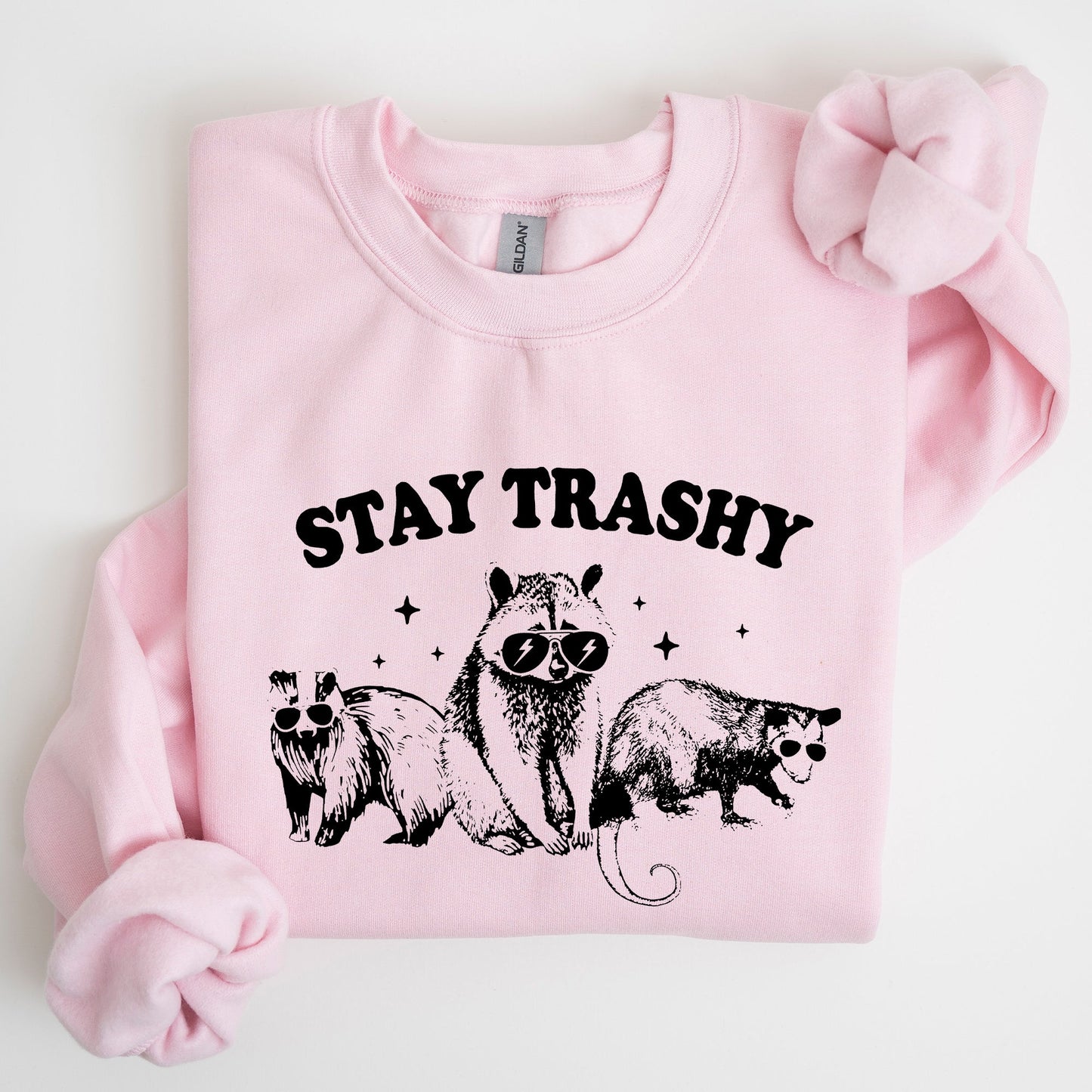 Stay Trashy, Racoon, Possum, Aesthetic, Meme, Funny Sweatshirt