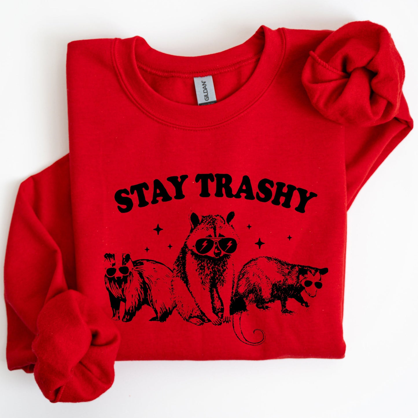 Stay Trashy, Racoon, Possum, Aesthetic, Meme, Funny Sweatshirt