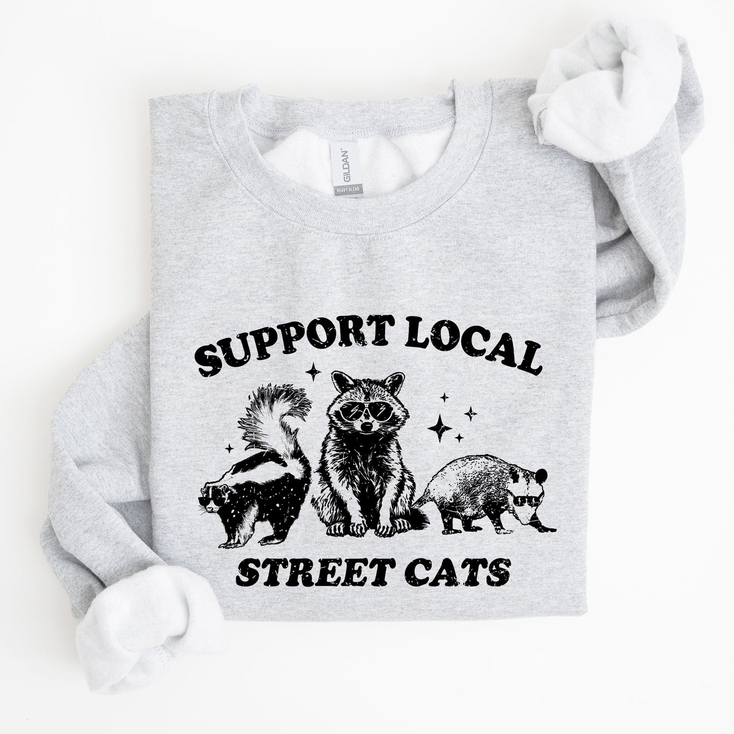 Support Local Street Cats, Raccoon, Skunk, Possum, Meme, Funny, Aesthetic Sweatshirt