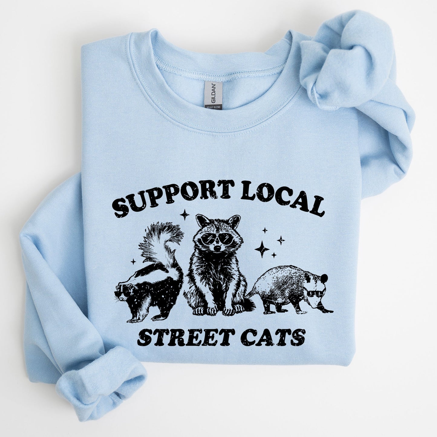 Support Local Street Cats, Raccoon, Skunk, Possum, Meme, Funny, Aesthetic Sweatshirt