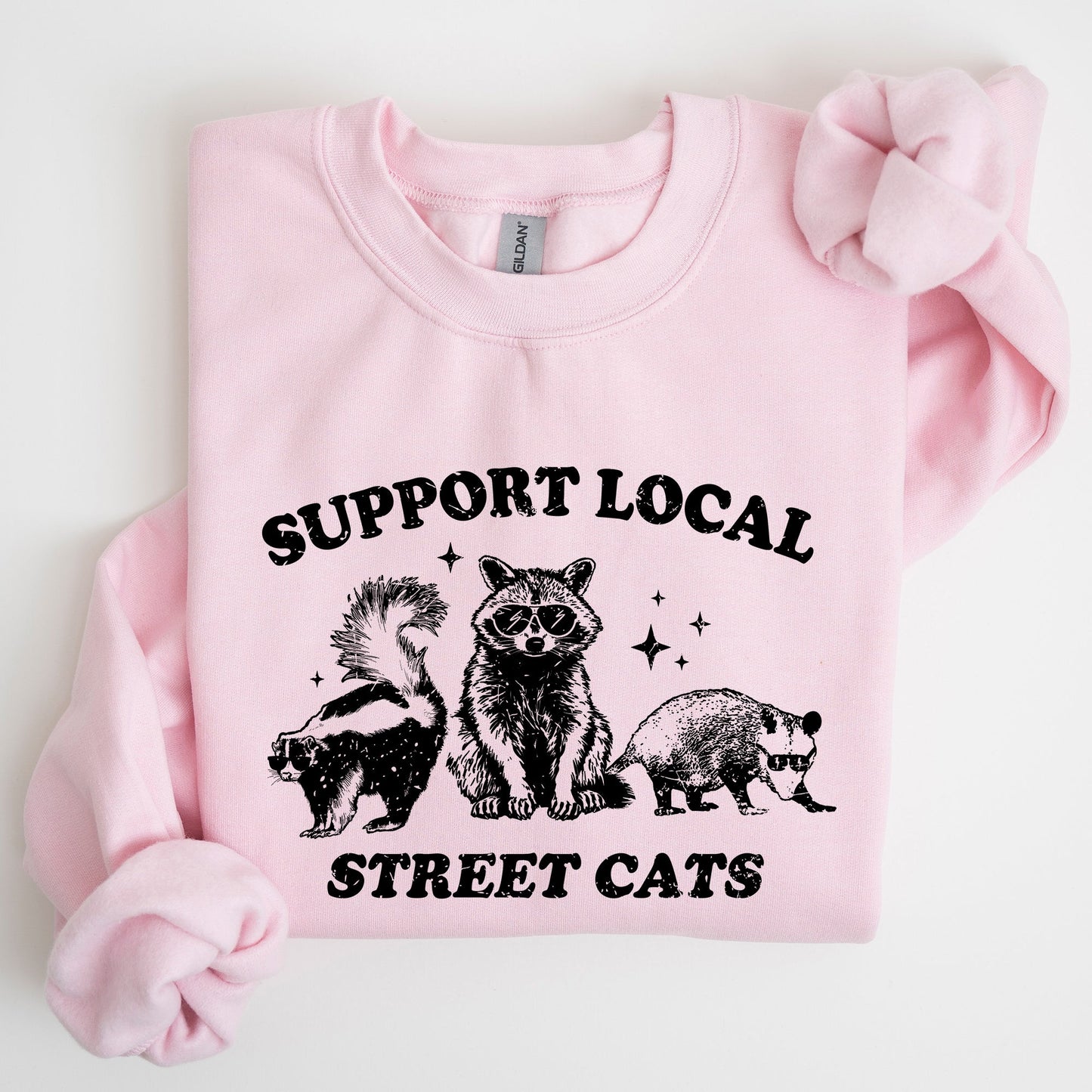 Support Local Street Cats, Raccoon, Skunk, Possum, Meme, Funny, Aesthetic Sweatshirt