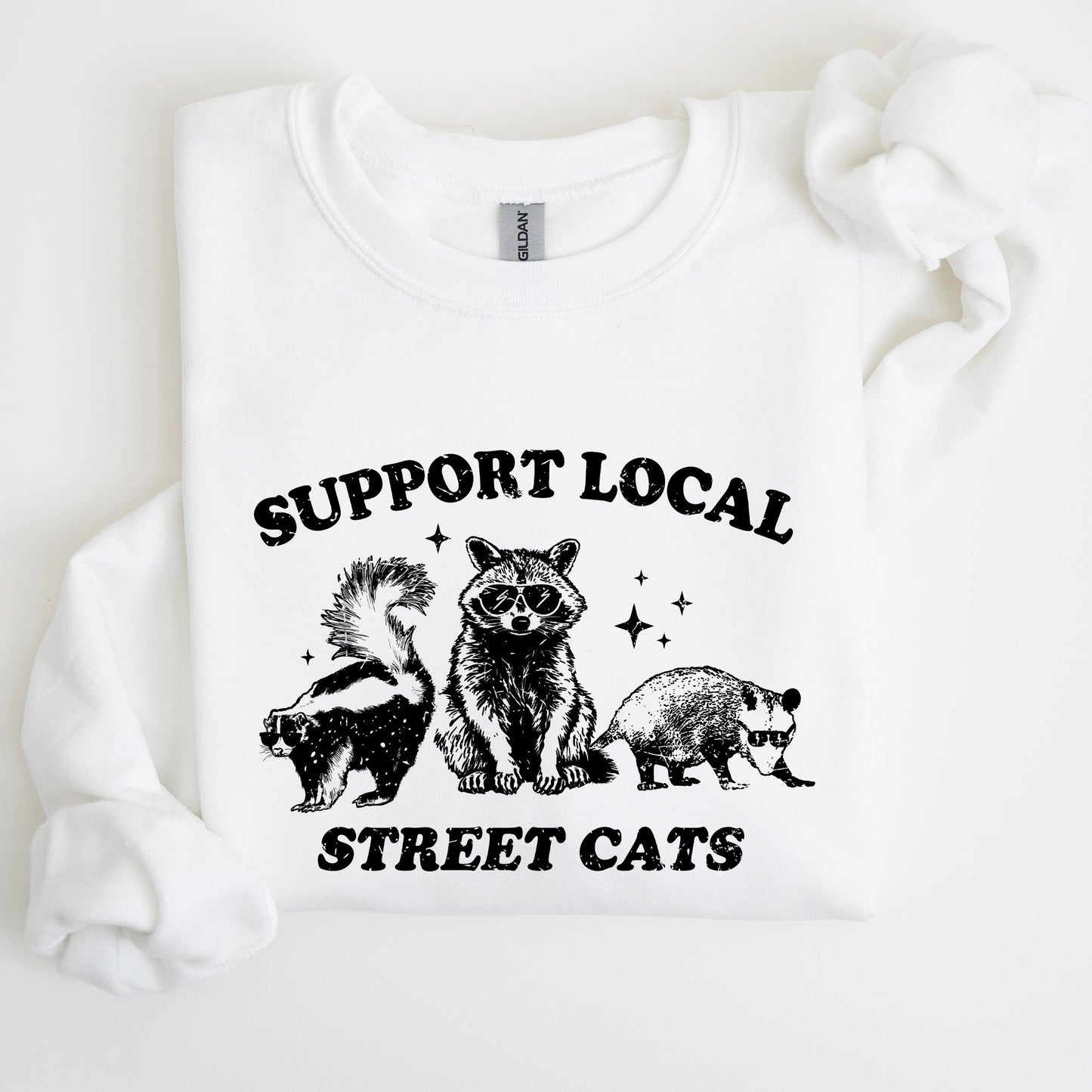 Support Local Street Cats, Raccoon, Skunk, Possum, Meme, Funny, Aesthetic Sweatshirt