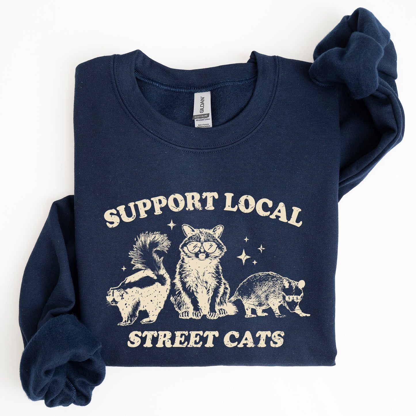 Support Local Street Cats, Raccoon, Skunk, Possum, Meme, Funny, Aesthetic Sweatshirt