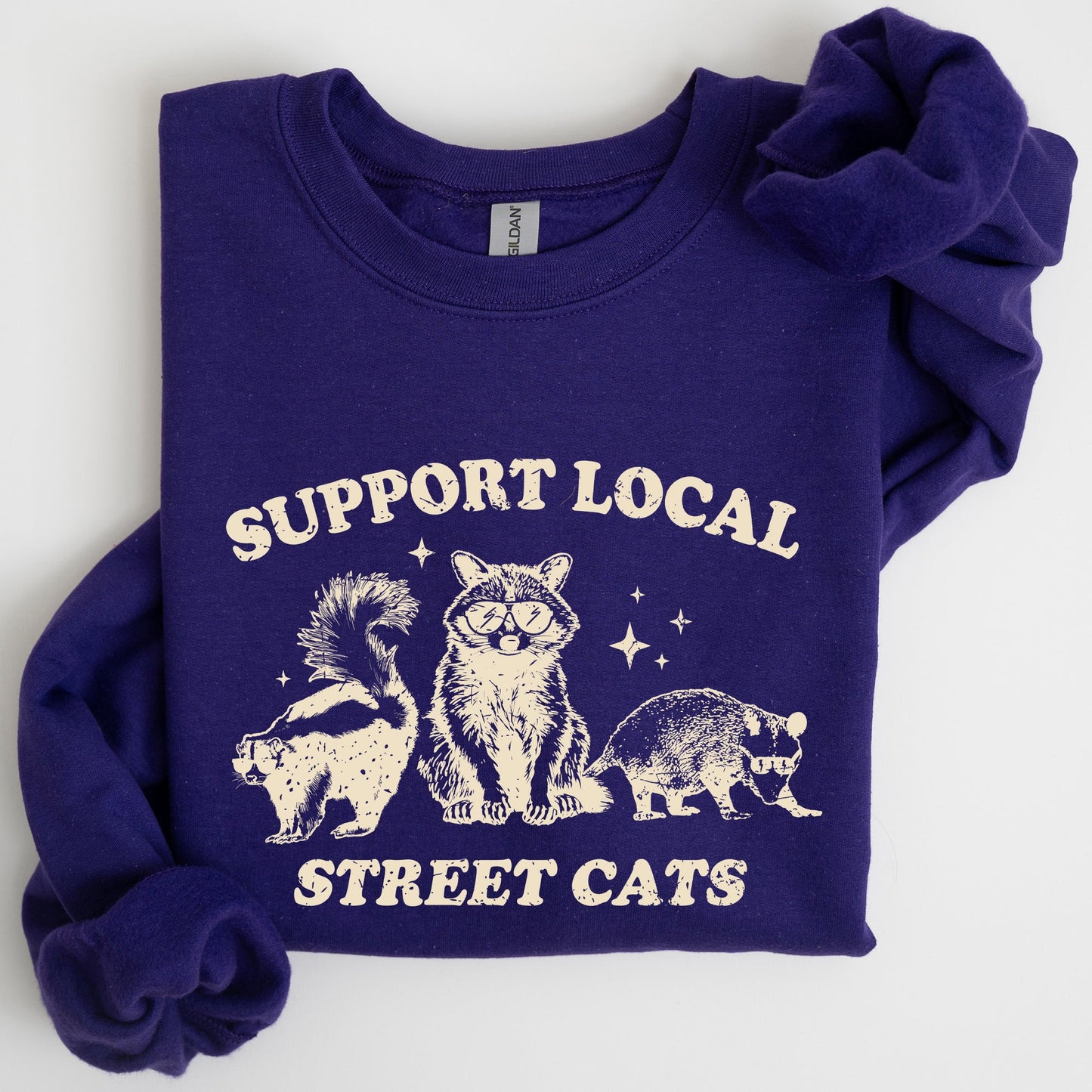Support Local Street Cats, Raccoon, Skunk, Possum, Meme, Funny, Aesthetic Sweatshirt