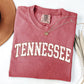Tennessee, Football, Sports, Game Day, Big Game, Touchdown, Tailgate Party, University, College, State Tshirt Comfort Colors T-Shirt