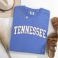Tennessee, Football, Sports, Game Day, Big Game, Touchdown, Tailgate Party, University, College, State Tshirt Comfort Colors T-Shirt