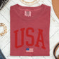 USA Flag, America, Patriotic, Red, 4th of July Tshirt Comfort Colors T-Shirt