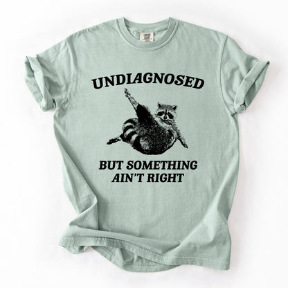 Undiagnosed, But Something Ain't Right, Raccoon, Funny, Sassy, Sarcastic Tshirt Comfort Colors T-Shirt