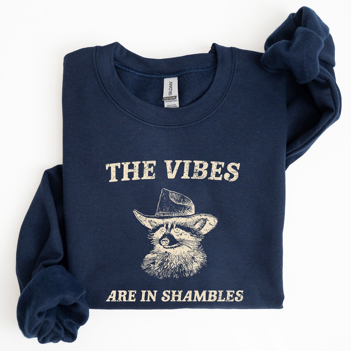 Vibes Are In Shambles, Raccoon, Meme, Aesthetic, Funny Sweatshirt