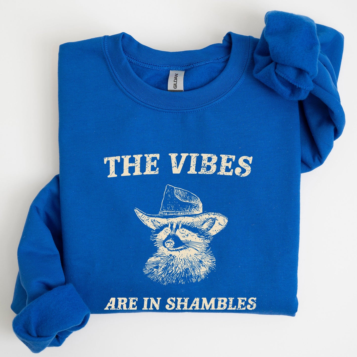 Vibes Are In Shambles, Raccoon, Meme, Aesthetic, Funny Sweatshirt