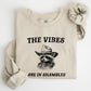 Vibes Are In Shambles, Raccoon, Meme, Aesthetic, Funny Sweatshirt
