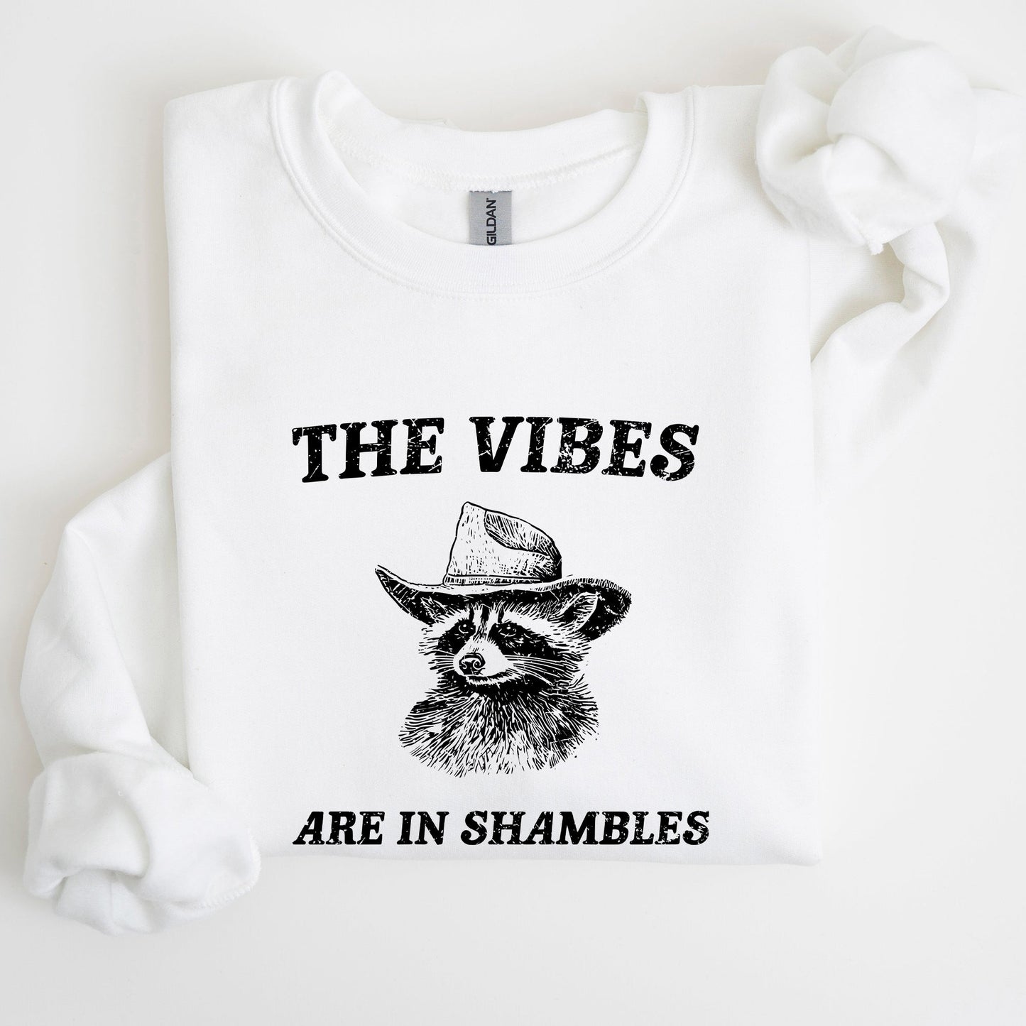 Vibes Are In Shambles, Raccoon, Meme, Aesthetic, Funny Sweatshirt