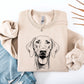 Weimaraner, Dog Lover Apparel, Pet, Dog Breed, Cute Sweatshirt
