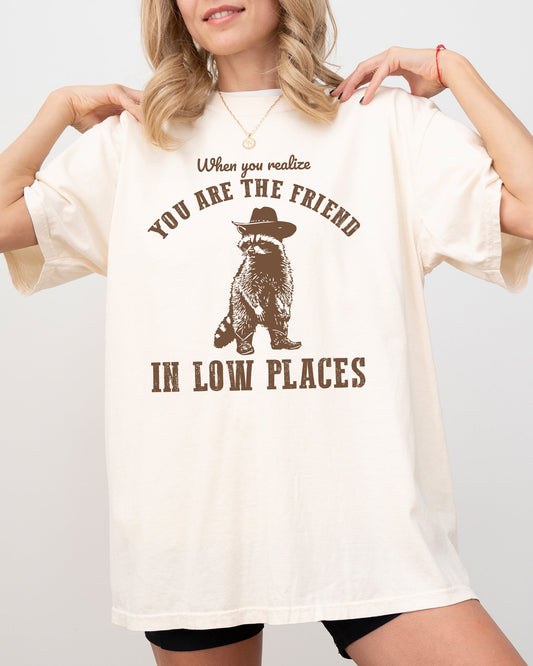 When You Realize, You Are The Friend In Low Places, Funny, Raccoon, Aesthetic, Sarcastic Shirt Comfort Colors T-Shirt