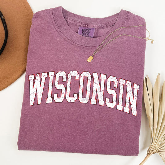 Wisconsin, Football, Sports, Game Day, Big Game, Touchdown, Tailgate Party, University, College, State Tshirt Comfort Colors T-Shirt