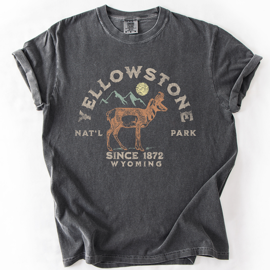 Yellowstone National Park, Wyoming, Nature, Outdoors, Camping, Hiking, Comfort Colors T-Shirt