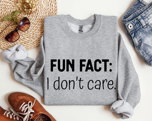 Fun Fact I Don't Care Sweatshirt, Sarcastic College Sweatshirt