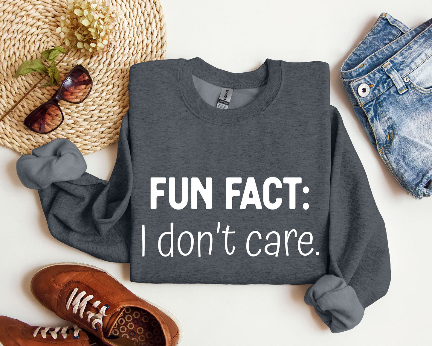 Fun Fact I Don't Care Sweatshirt, Sarcastic College Sweatshirt