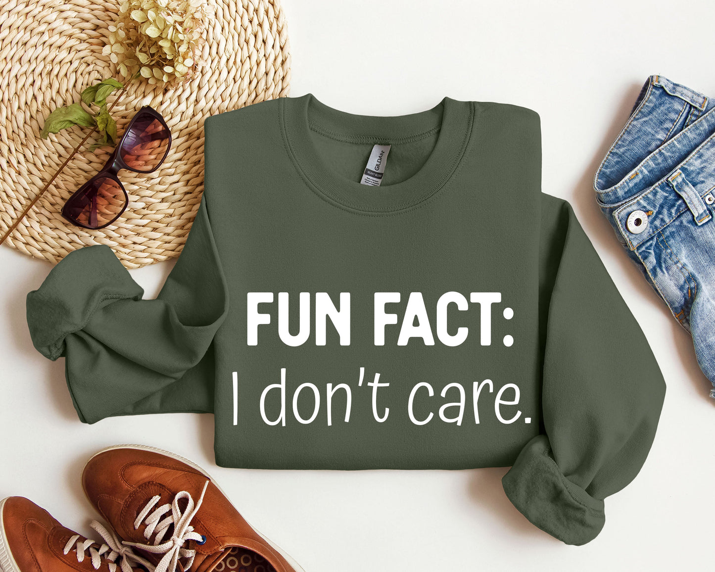 Fun Fact I Don't Care Sweatshirt, Sarcastic College Sweatshirt