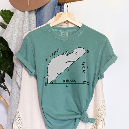 Hippopotenuse Funny Teacher Comfort Colors Tshirt