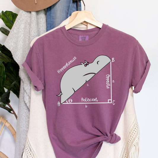 Hippopotenuse Funny Teacher Comfort Colors Tshirt