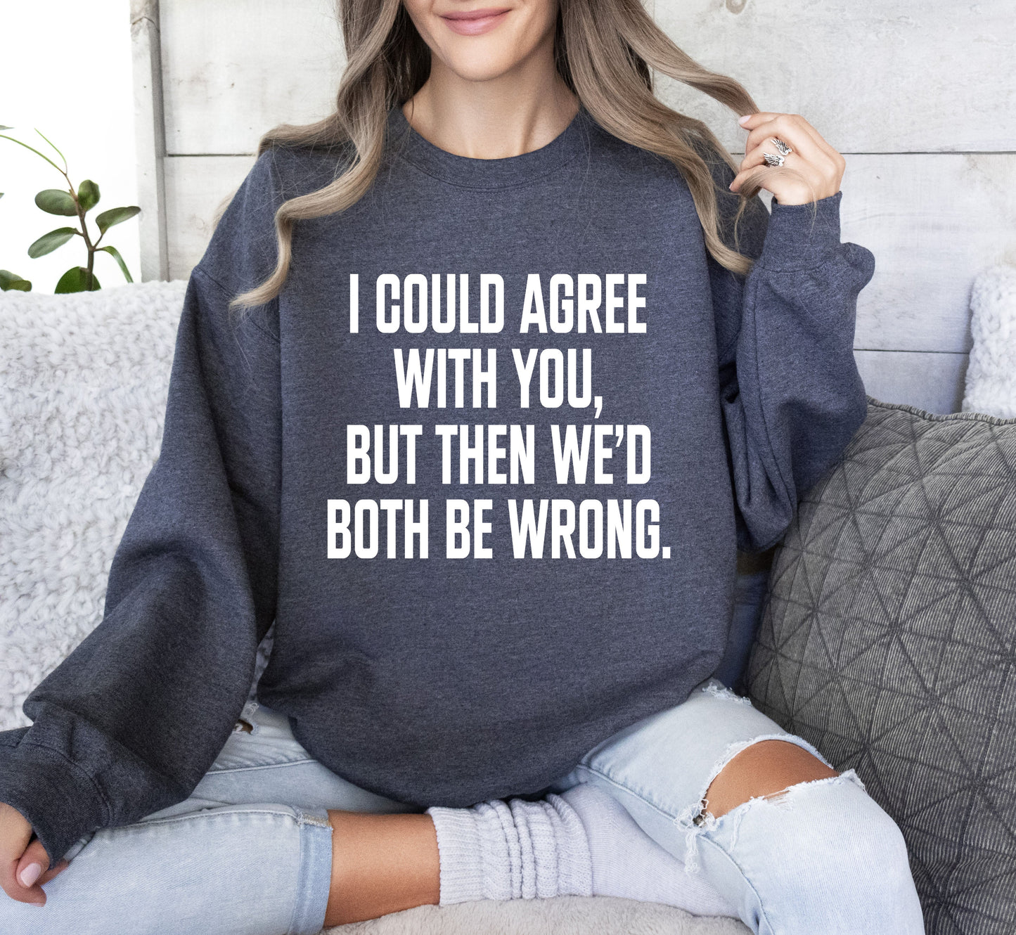 I Could Agree With You Funny Sweatshirt, Sarcastic College Sweatshirt